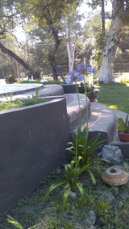 לה גראנחה Cabanas Los Platanos מראה חיצוני תמונה